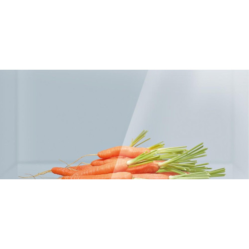 Однокамерный холодильник Bosch KSV 36VL20 R