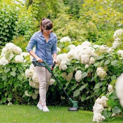 Bosch EasyGrassCut 18V-230 Set аккумуляторный триммер (1 x 2 Ач, ЗУ), 06008C1A03