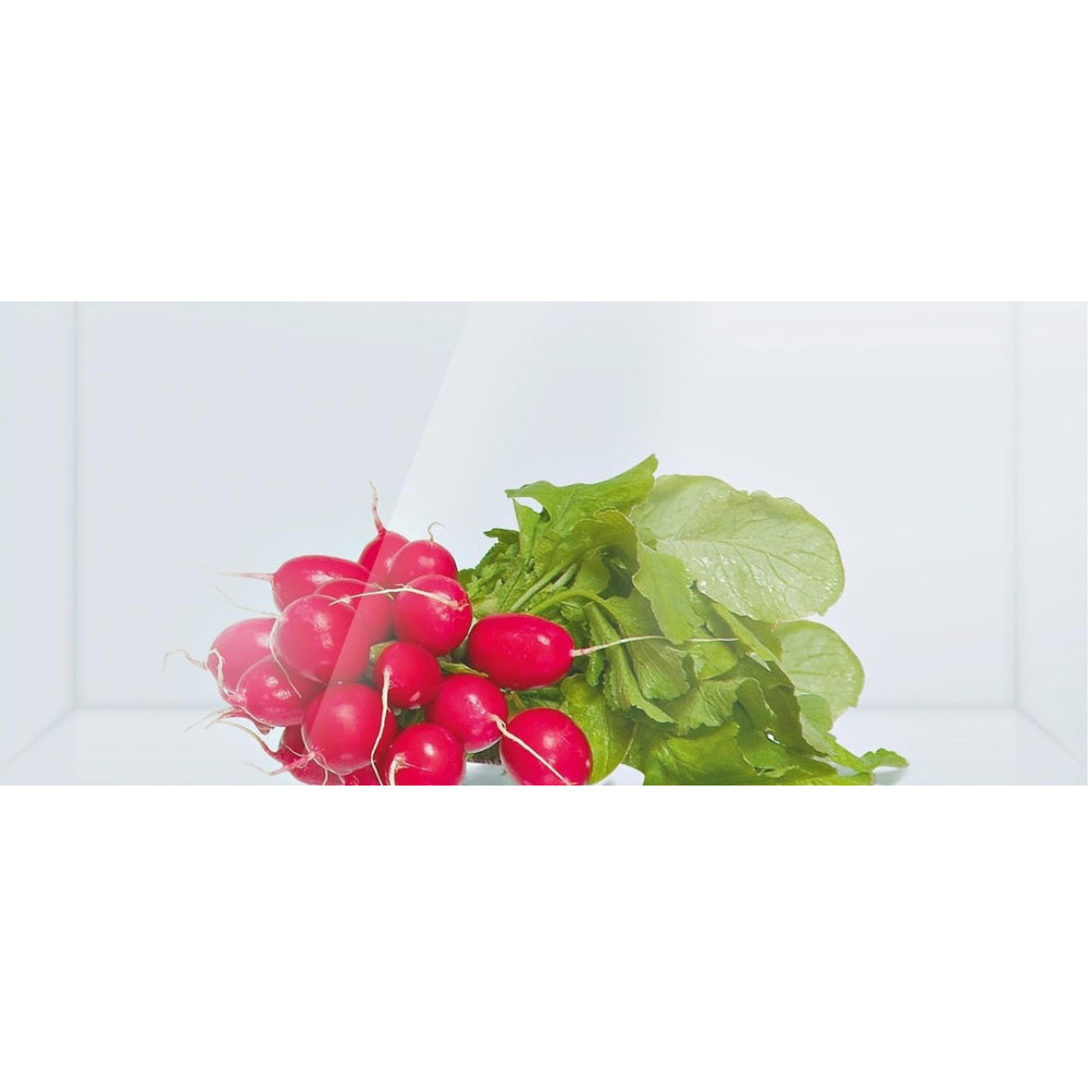 Однокамерный холодильник Bosch KSV 36VL20 R