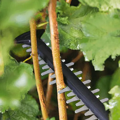 Bosch UniversalHedgeCut 18V-55 Solo аккумуляторный кусторез (без АКБ и ЗУ), 0600849J00