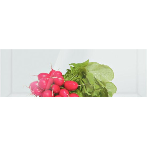 Двухкамерный холодильник Bosch KGN36S55RU