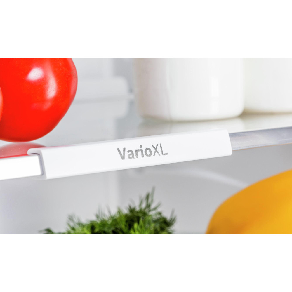 Двухкамерный холодильник Bosch KGE39AW21R